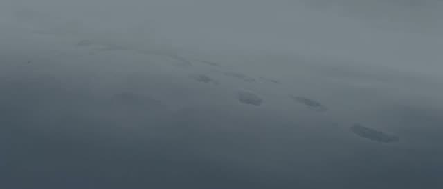 Style: STOP-MOTION ANIMATION — stepped, frame-by-frame motion brought to a HAND-PAINTED 2D look, a moving oil painting, NOT clay, NOT puppets, NOT 3D. True 12 frames per second, ANIMATED ON TWOS: 12 distinct hand-painted drawings per second, each pose held two frames then snapping to the next, never gliding. Constant painterly BOIL — brushstrokes and outlines subtly alive frame to frame. NO smooth interpolation, NO motion blur, NO morphing, real frame-by-frame animation not AI slop. Style and lo
